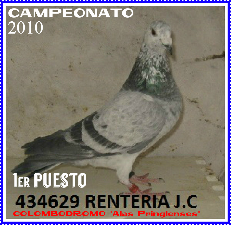 palomas10camp1